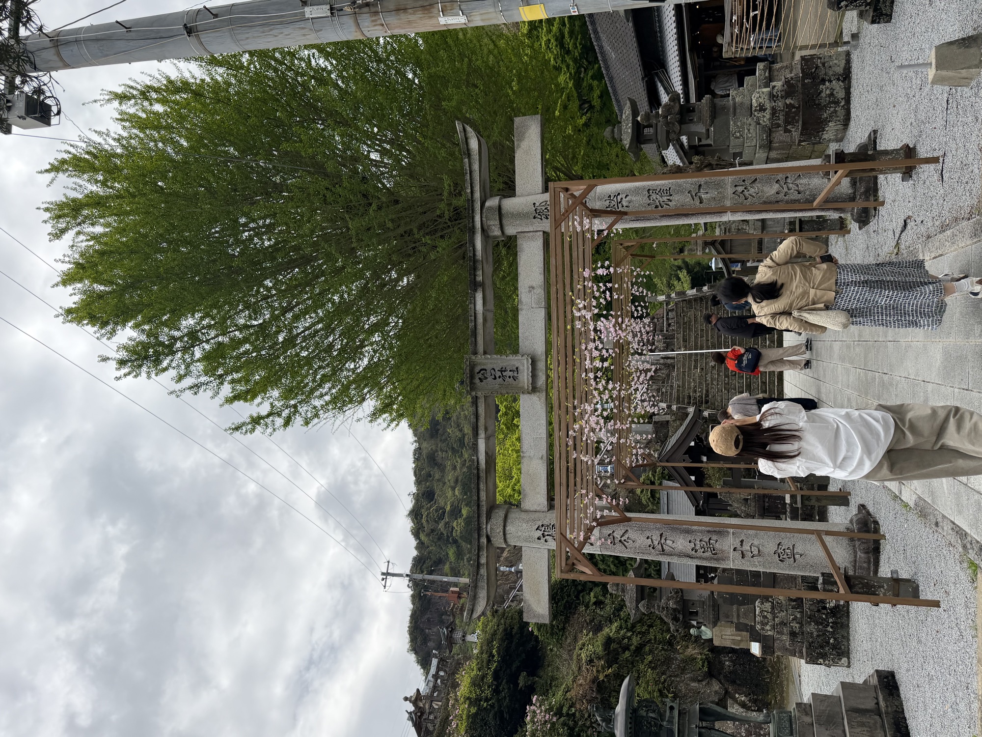 遠くから見た陶山神社の鳥居